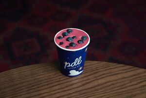 Drivu Lyche Hibiscus