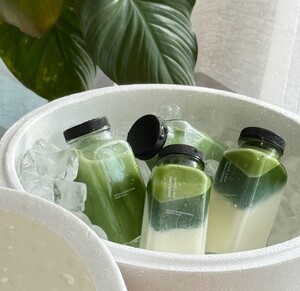 Drivu  500ml Iced Matcha Box of 4