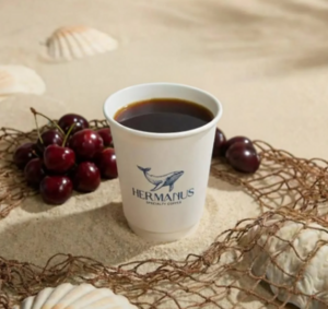 Drivu Hot V60 Tobacco 