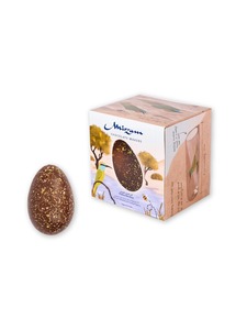 Drivu The Arabian Bee Eater