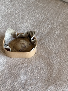 Drivu Choco Chip Cookie