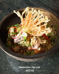Drivu Mushroom Claypot