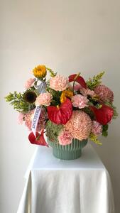 Drivu Blossom Season Flowers