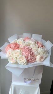 Drivu Spring Whisper