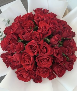 Drivu Mysterious Valentino