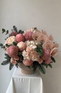 Drivu Velvet Passion