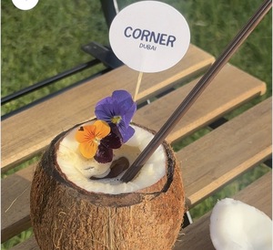 Drivu Coconut V60 with Bowl