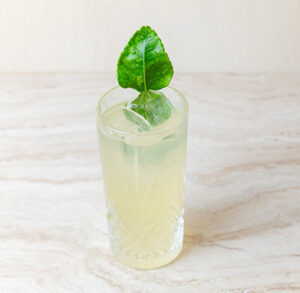 Drivu Gerbou Lemonade
