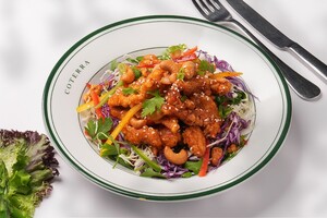 Drivu Chicken Cashew Salad