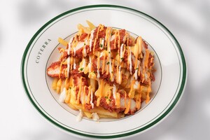 Drivu Zesty Chicken Fries