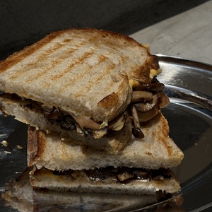 Drivu Mushroom Melt