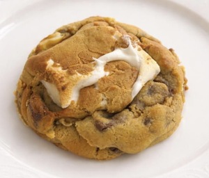 Drivu Smore's Cookie