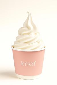 Drivu Coconut Ice Cream