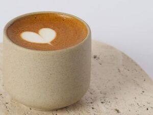 Drivu Spanish Cortado