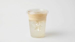 Drivu Ice Coconut  Latte