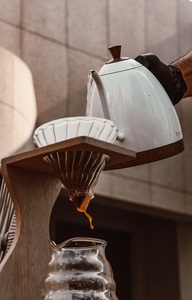 Drivu Iced V60 Panama Savage