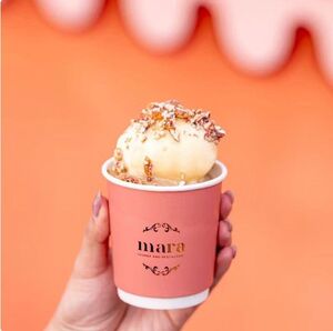 Drivu Pecan pudding Cup