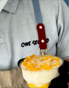 Drivu Mango Sago
