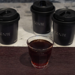 Drivu Aeropress