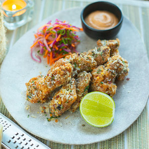Drivu Spicy Parmesan Chicken Wings