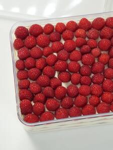 Drivu Rasberry Cheesecake Pudding