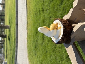 Drivu Affogato 