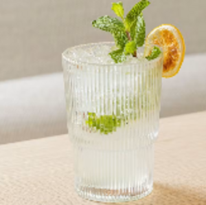 Drivu Lemon and Mint Mojito