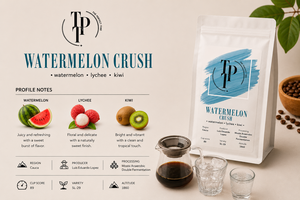 V60 Watermelon Crush - The Perfect Time TPT sharjah