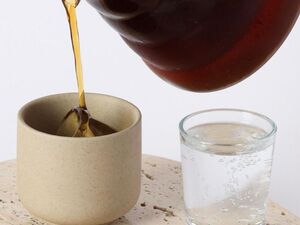 Drivu Watermelon Colombia Coffee