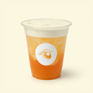 Drivu Organic Classic Iced Tea