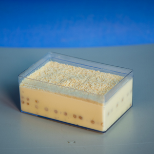 Drivu Honey Biscuit Pudding 
