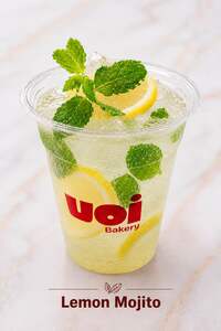 Drivu Classic Mojito