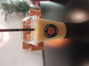 Drivu Mango Paradise