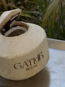Fresh Young Coconut - Gathr House dubai