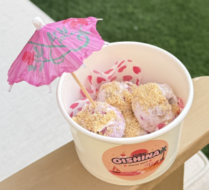 Berry Cheesecake Bites - Oishina abu-dhabi