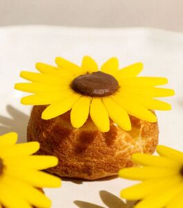 Sunflower Choux - Escena Café al-ain