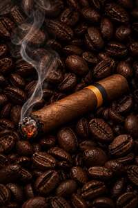  Iced V60 Tobacco  - Meltia dubai