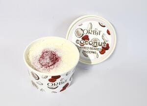 Coconut Pudding - Orbit Cafe al-dhaid