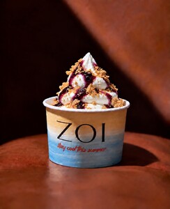 Frozen Yogurt with Blueberry Topping - ZOI Cafe AlQattara al-ain