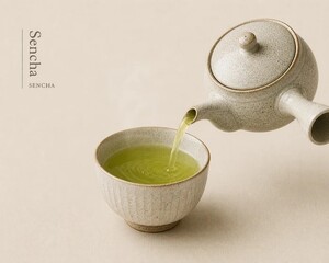 Sencha Tea Master Selection - Chawa Japan sharjah
