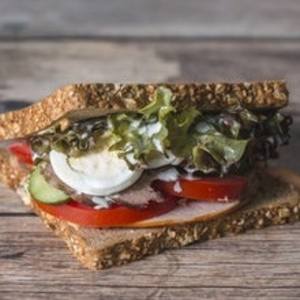 Drivu Dose Club Sandwich