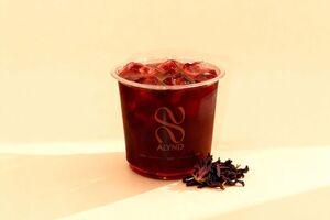 Iced Hibiscus - ALYND dubai