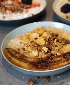 Drivu Aurora Oats
