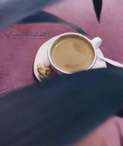 Drivu French Coffee