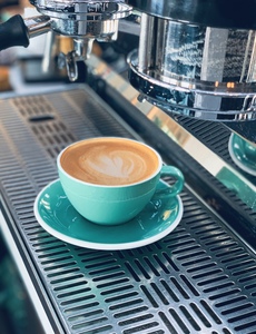 Drivu Flat White