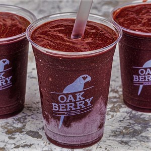 Drivu 16 oz Smoothie