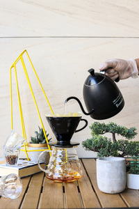 Drivu Kalita