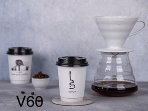 Drivu Hario V60