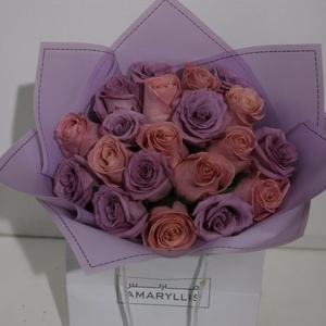 Drivu Purple & Peach Roses