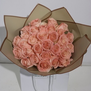 Drivu Peach Roses